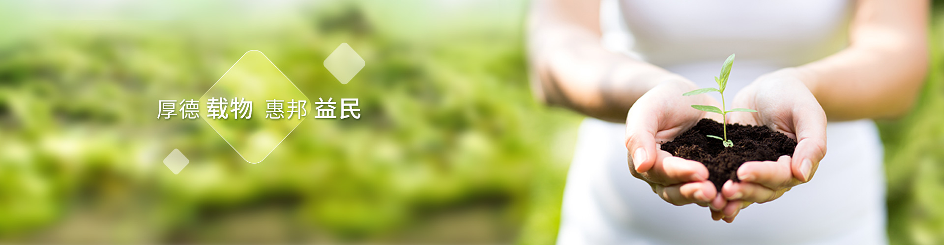WM视讯股份