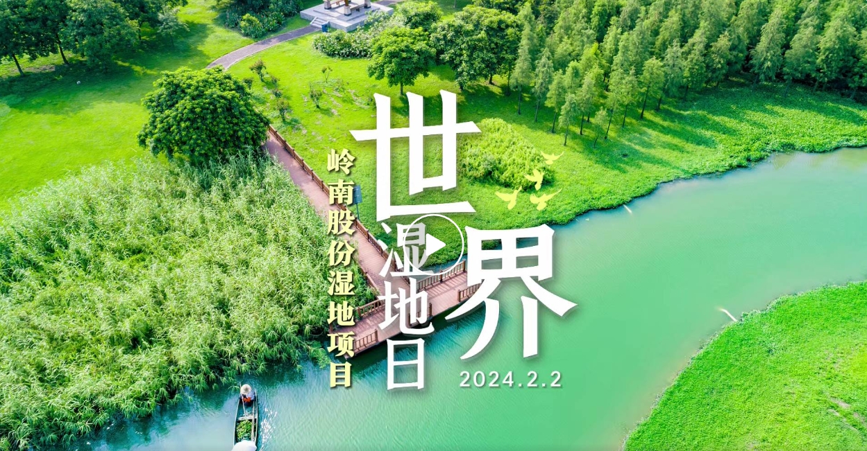 世界湿地日| WM视讯股份带你领略湿地之美