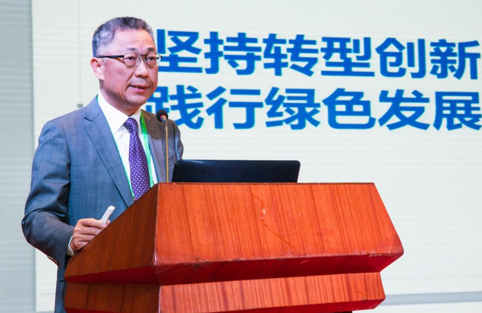 WM视讯股份
