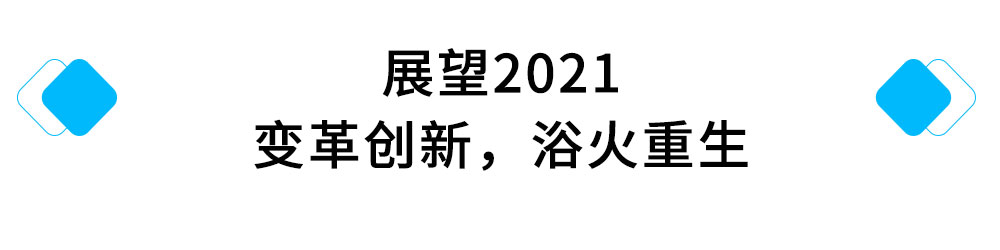展望2021，变革创新，浴火重生.jpg